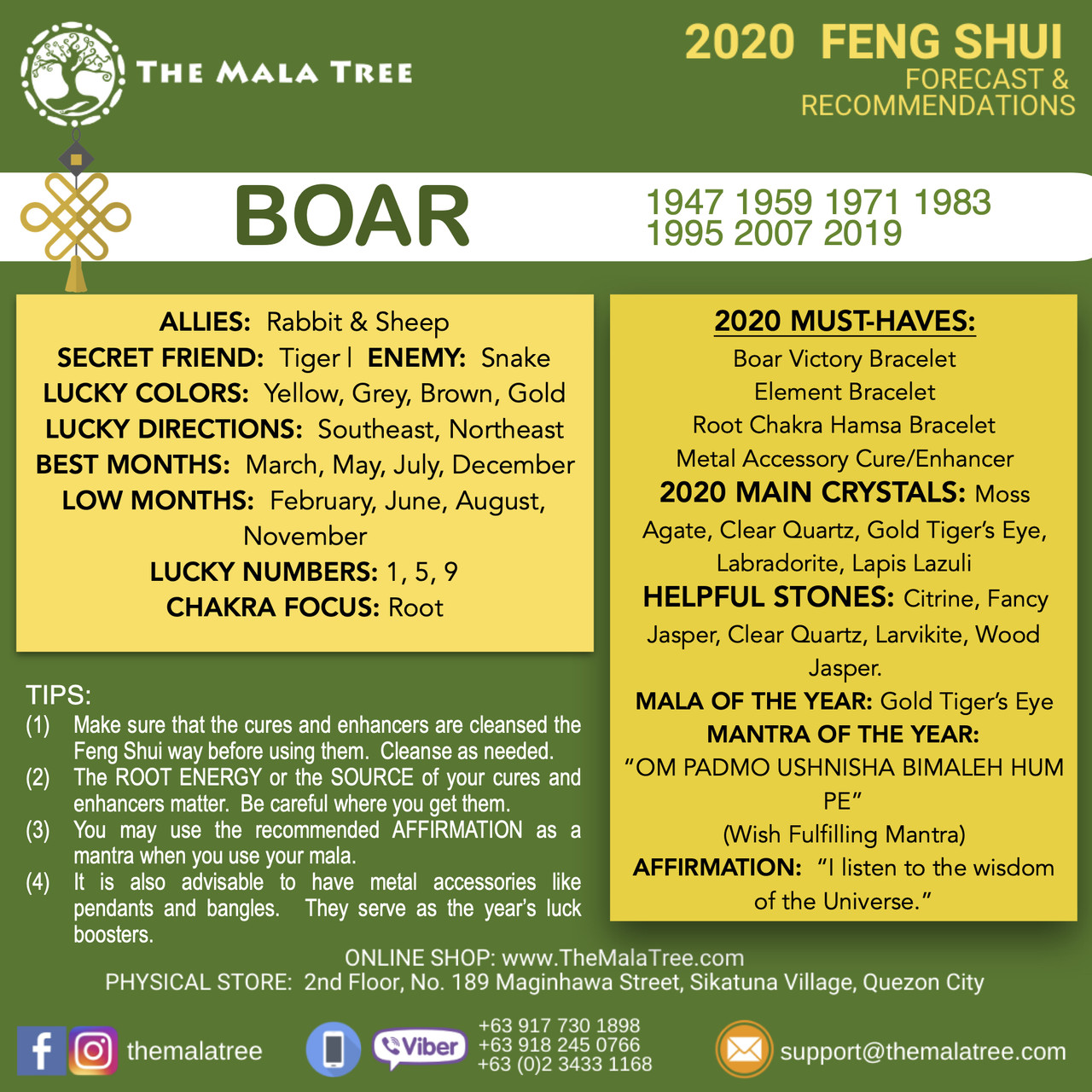 BOAR/ PIG in 2020 BOAR/ PIG in 2020